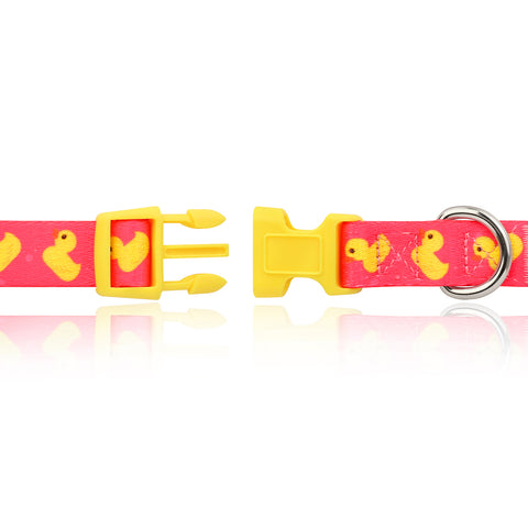 Pink Ducks Nylon Dog Collar