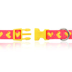 Pink Ducks Nylon Dog Collar