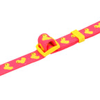 Pink Ducks Nylon Dog Collar