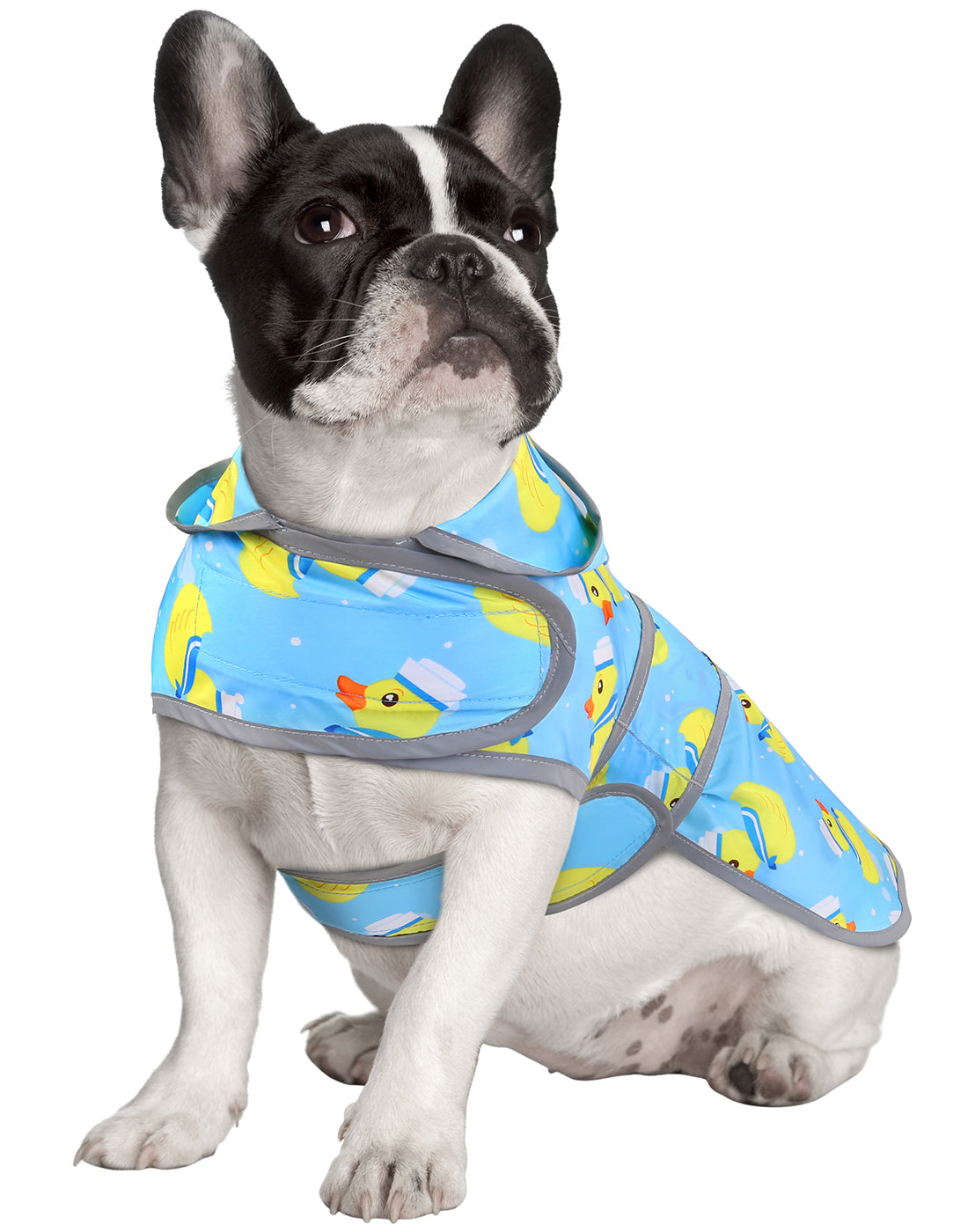 Sailor Ducks Blue Dog Raincoat with Clear Hood Secondary image