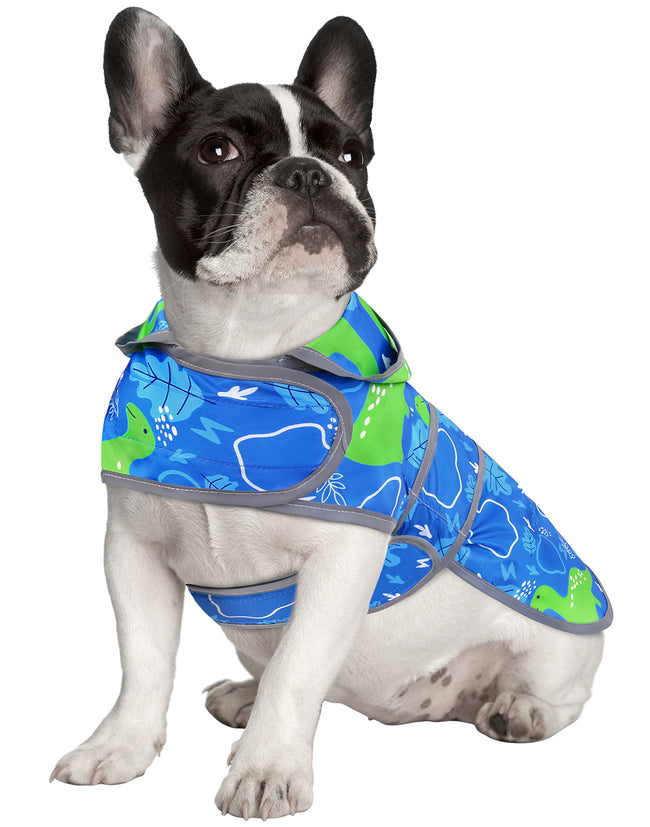 Dinosaur Dog Raincoat Clear Hood Waterproof – side view