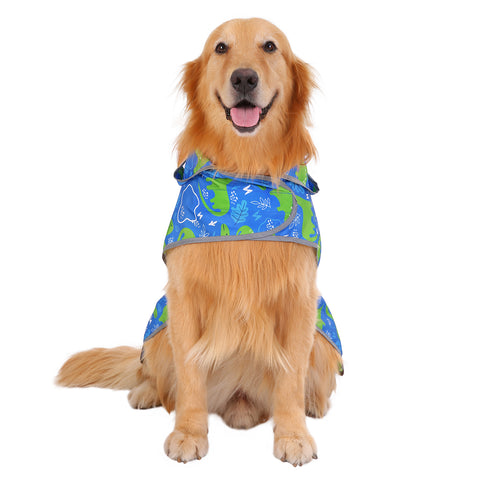 Dinosaurs Dog Raincoat with Clear Hood