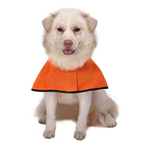 Dog Raincoat with Hood