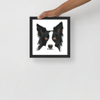 Border Collie Framed Poster