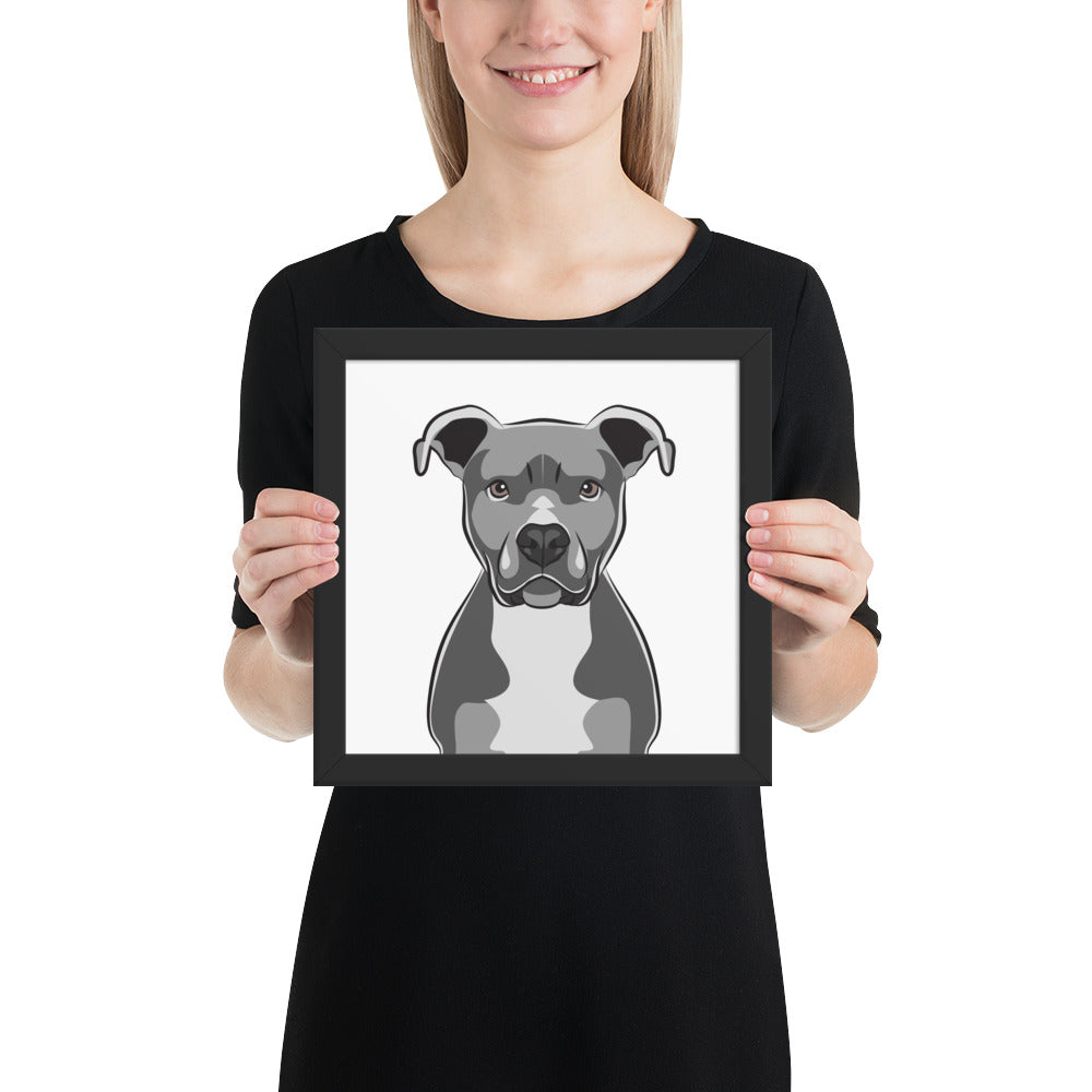 Pitbull Framed Poster