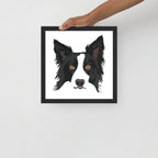 Border Collie Framed Poster