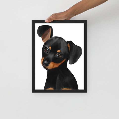 Dachshund Framed poster