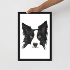 Border Collie Framed Poster