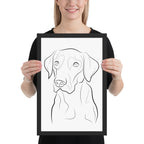 Labrador Retriever Framed Poster
