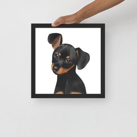 Dachshund Framed poster