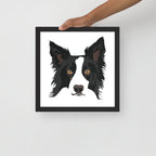 Border Collie Framed Poster