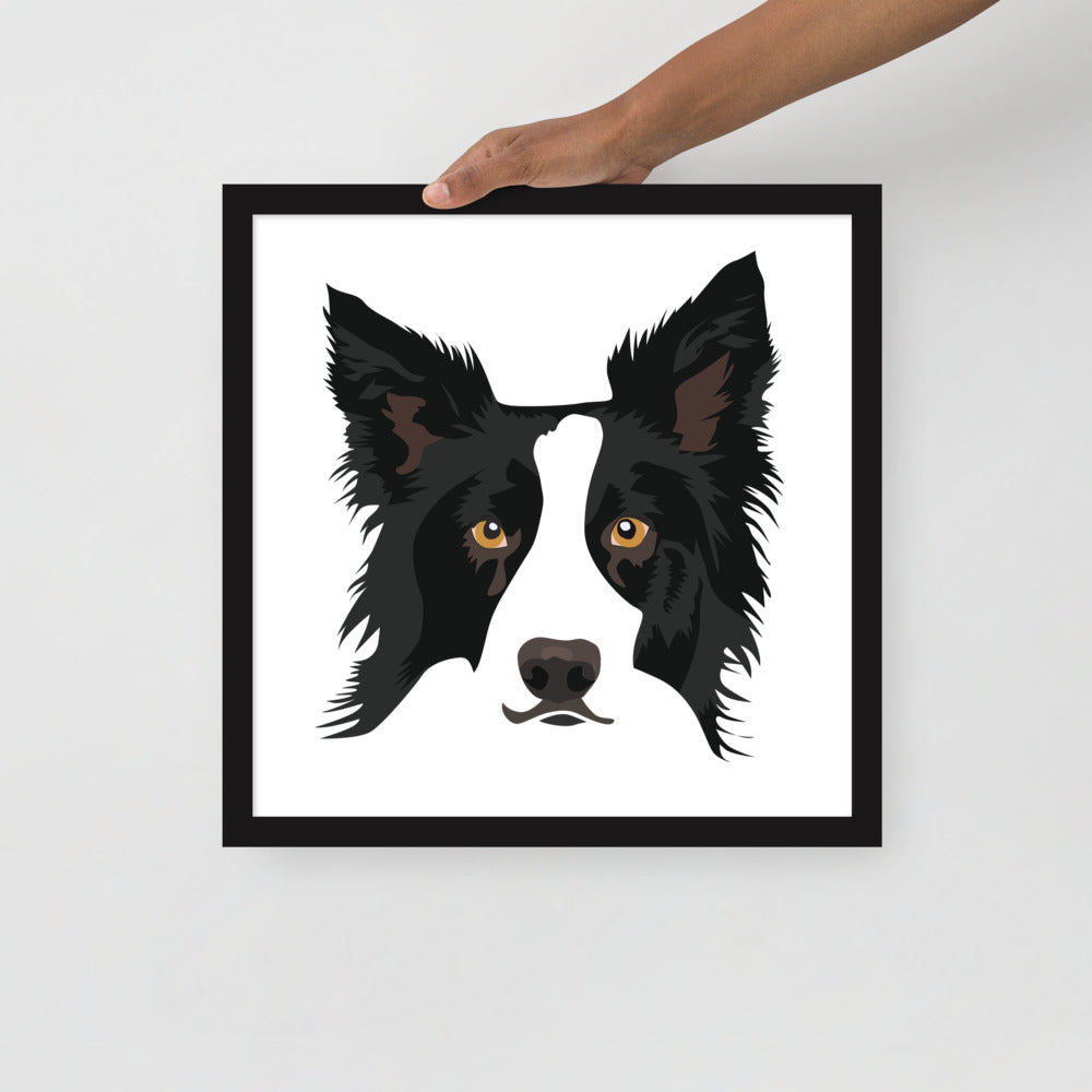 Border Collie Framed Poster