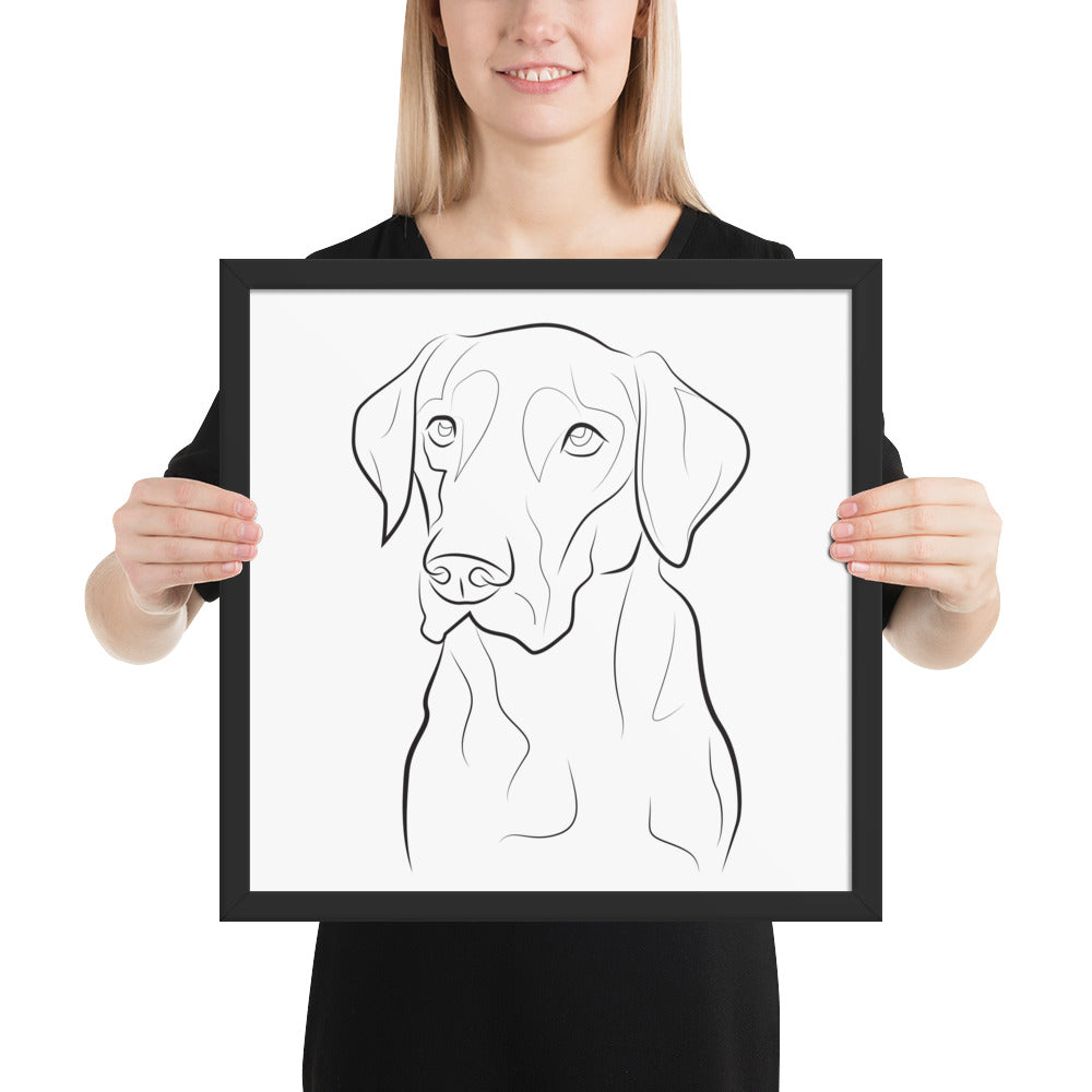 Labrador Retriever Framed Poster