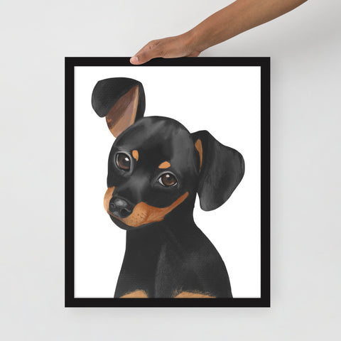 Dachshund Framed poster