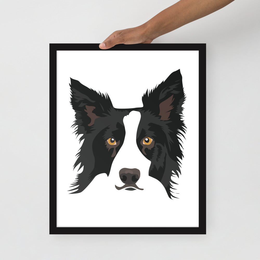 Border Collie Framed Poster