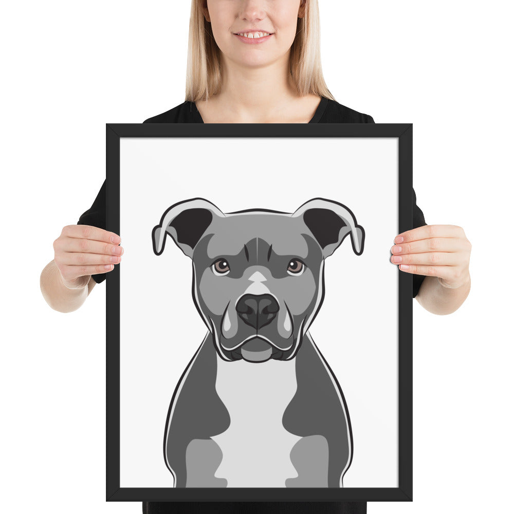 Pitbull Framed Poster