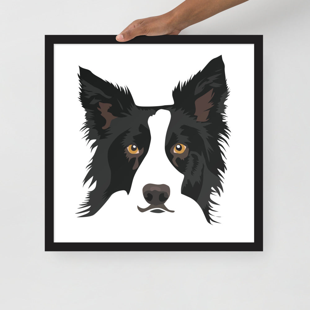 Border Collie Framed Poster