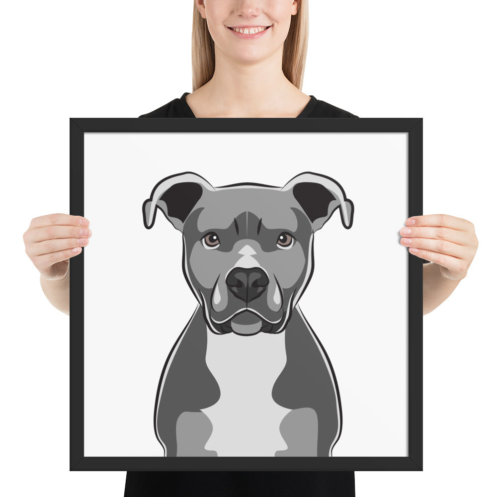 Pitbull Framed Poster