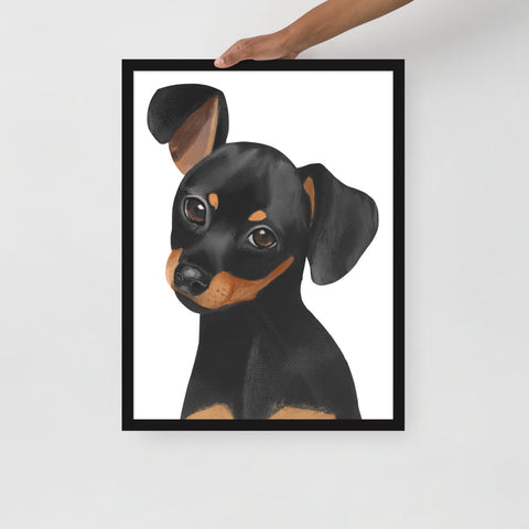 Dachshund Framed poster
