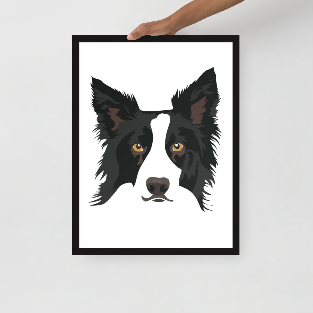 Border Collie Framed Poster