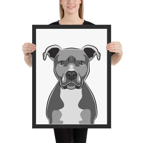 Pitbull Framed Poster