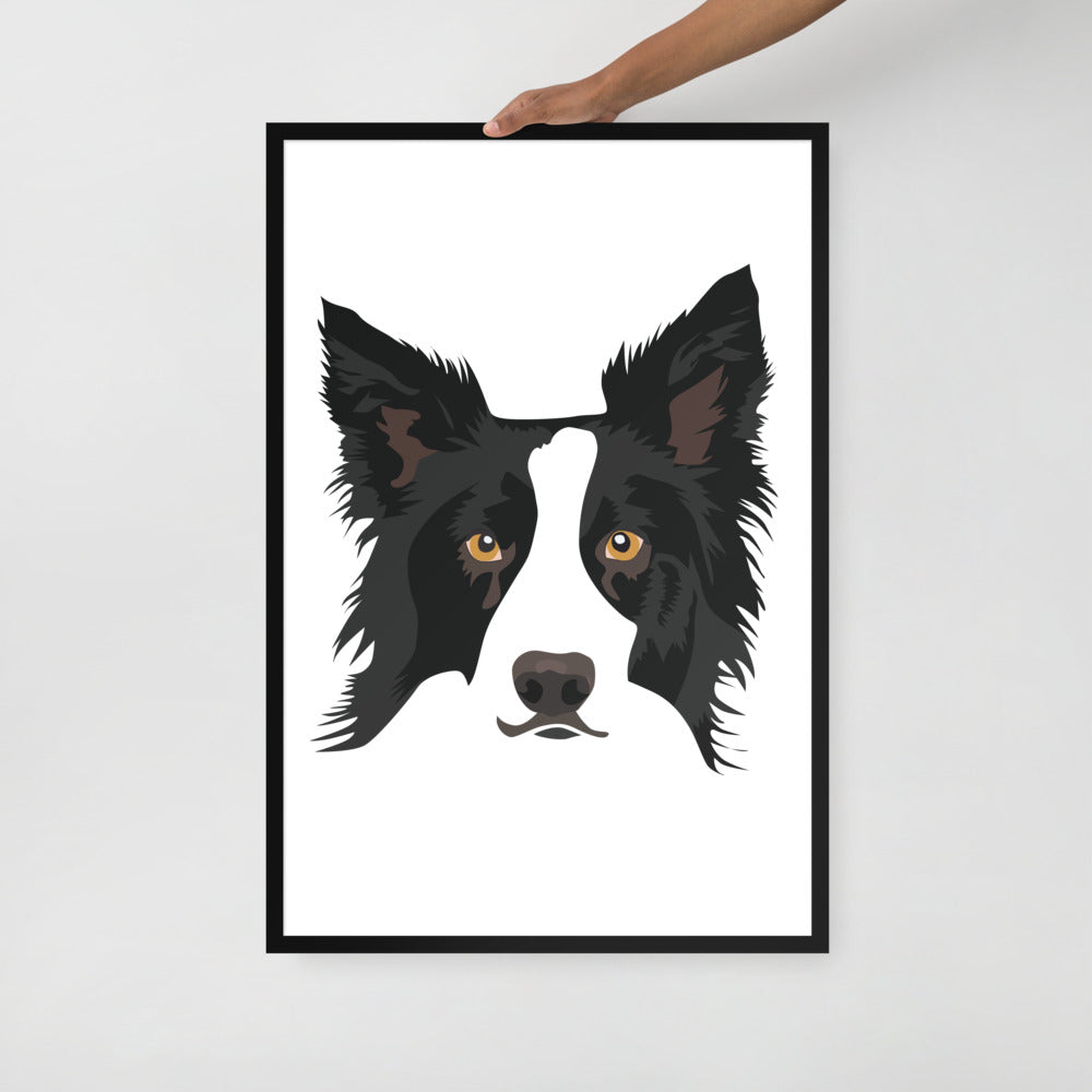 Border Collie Framed Poster