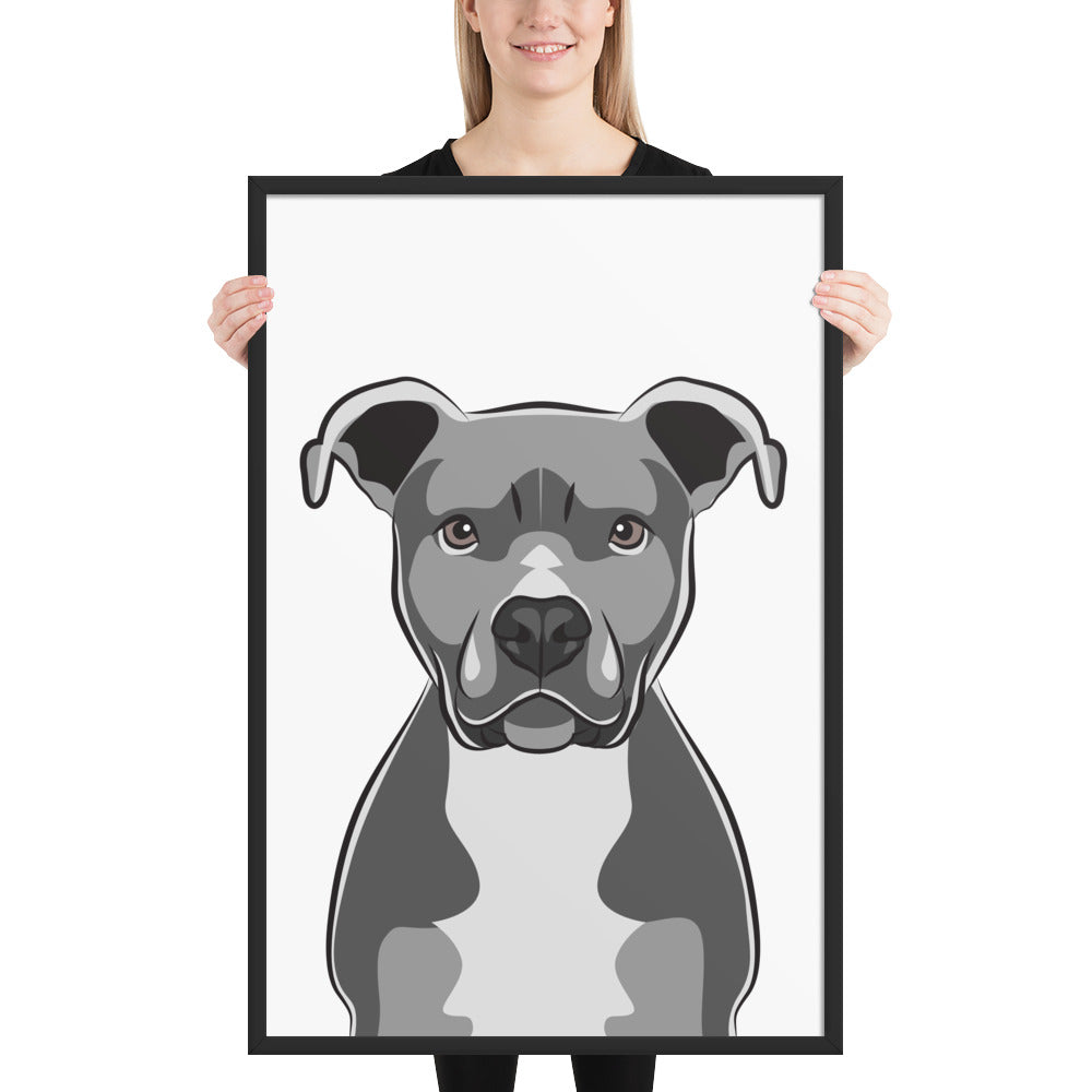 Pitbull Framed Poster