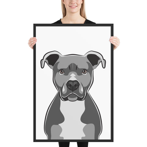 Pitbull Framed Poster