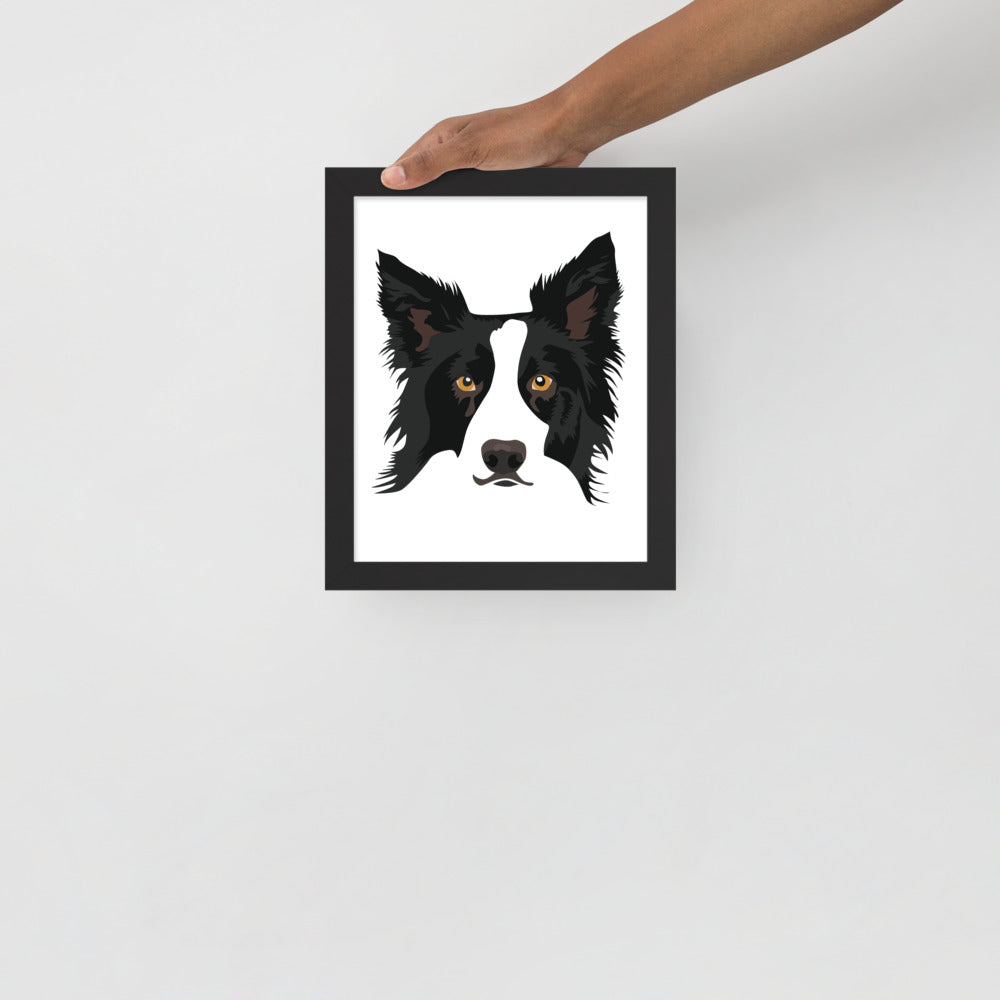 Border Collie Framed Poster