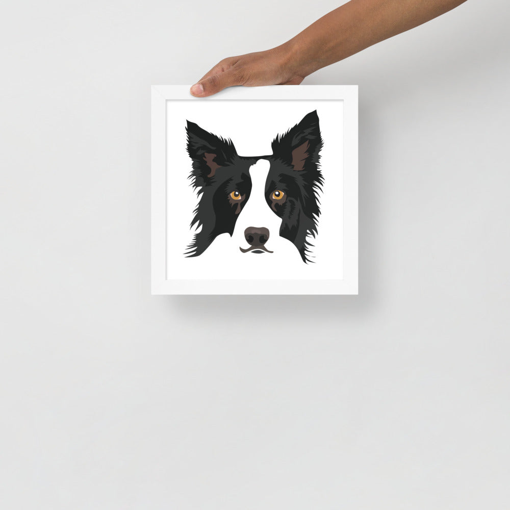Border Collie Framed Poster