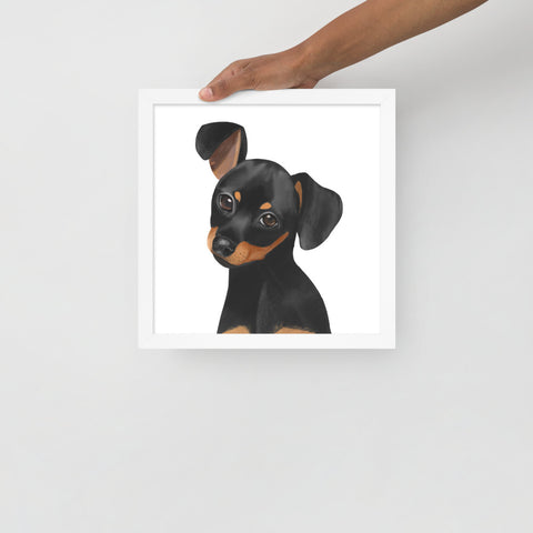 Dachshund Framed poster