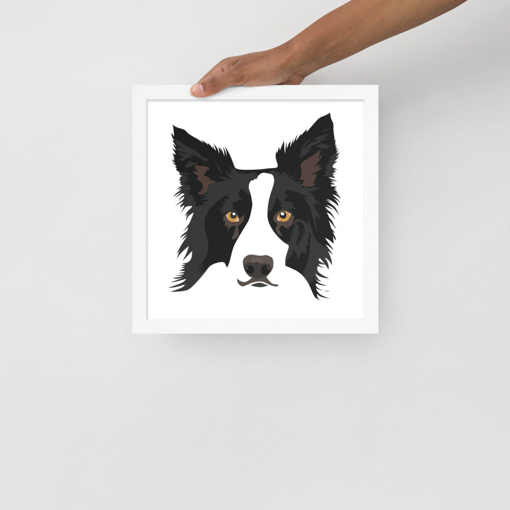 Border Collie Framed Poster