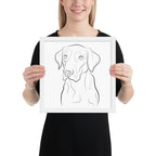 Labrador Retriever Framed Poster