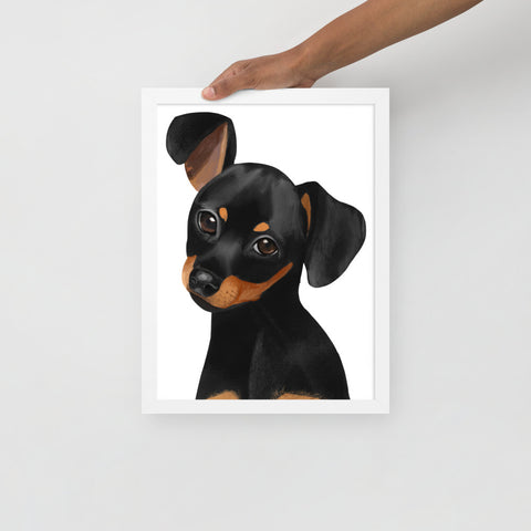 Dachshund Framed poster