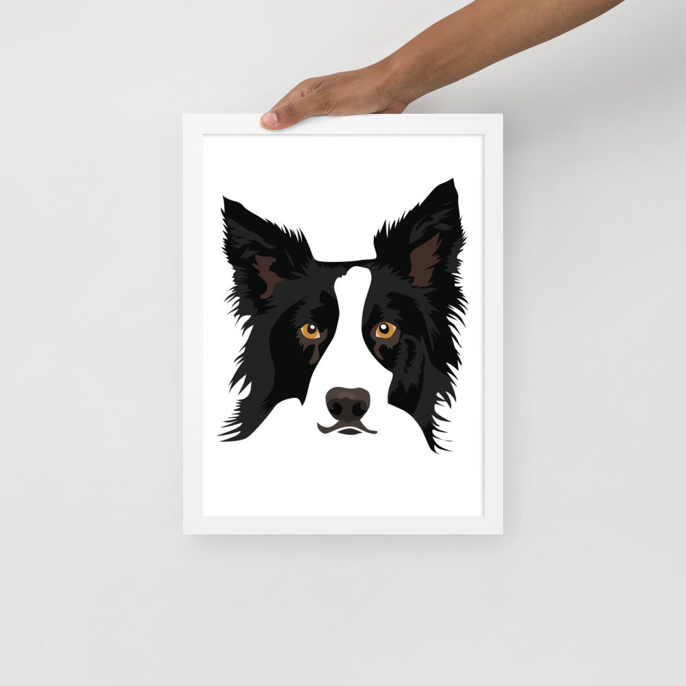 Border Collie Framed Poster