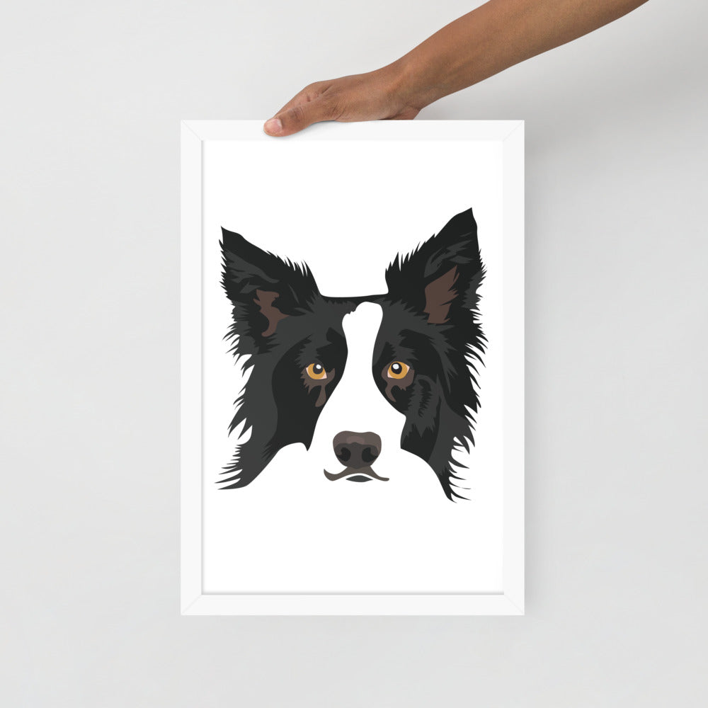 Border Collie Framed Poster