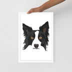 Border Collie Framed Poster