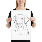 Labrador Retriever Framed Poster