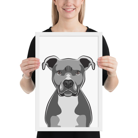 Pitbull Framed Poster