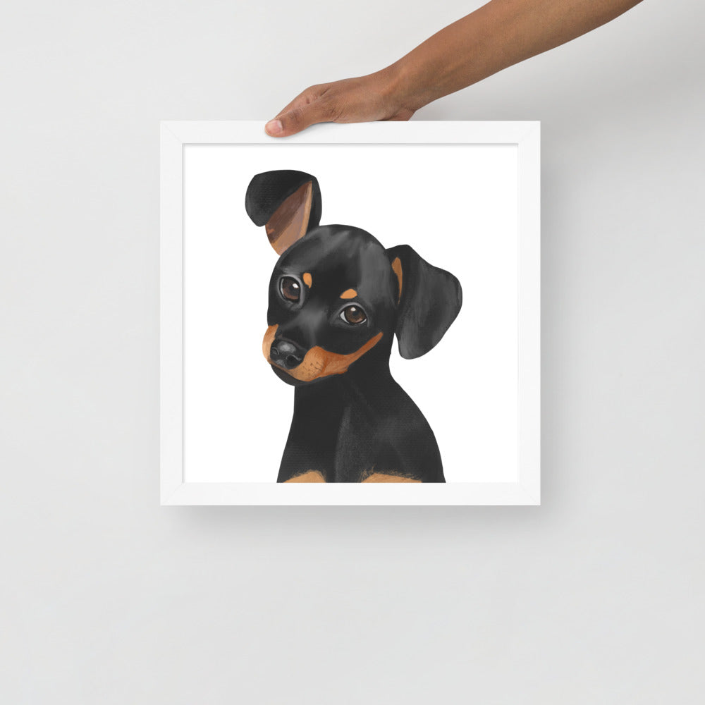 Dachshund Framed poster