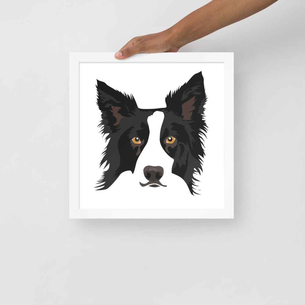 Border Collie Framed Poster