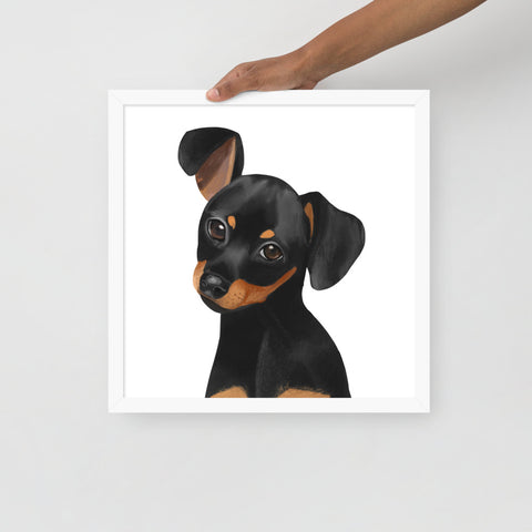 Dachshund Framed poster