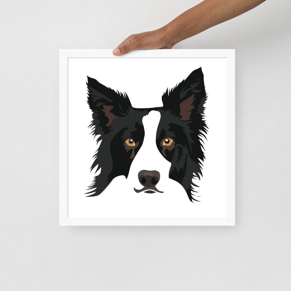Border Collie Framed Poster