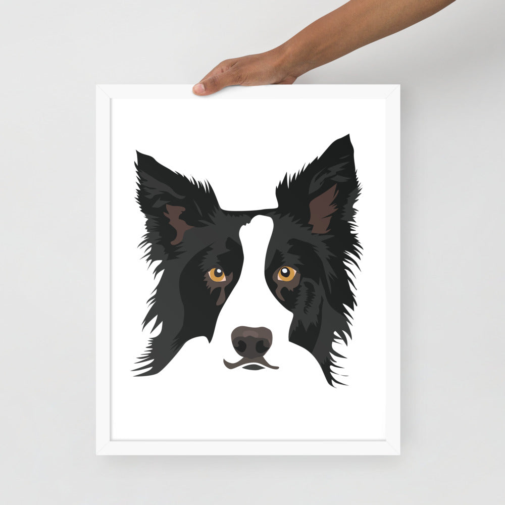 Border Collie Framed Poster Main image