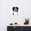 Bernese Mountain Dog Framed Poster