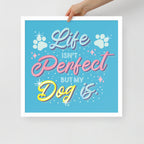 Life Isn't Perfect Framed Poster