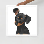 Dachshund Framed poster