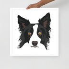 Border Collie Framed Poster