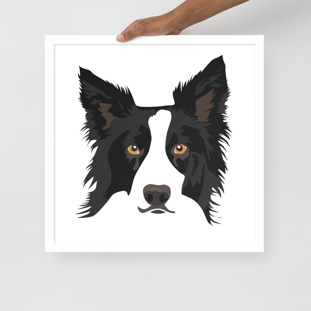 Border Collie Framed Poster