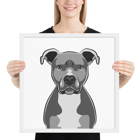 Pitbull Framed Poster